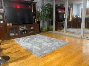 een woonkamer met een tapijt en een flatscreen-tv bij Double-Mirrored Glass Room in Queens in Corona