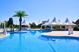 una piscina con tende bianche e una palma di S Club Resort Hotel Aqua Park and Spa a Belgrado Altre 37 foto