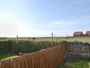 ビードネルにあるDunstanburgh Viewの馬の背景の柵