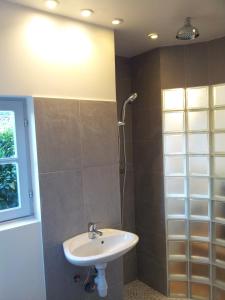 a bathroom with a sink and a shower at Maisonnette Rambouillet in Rambouillet