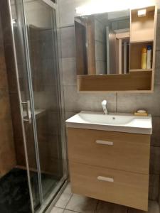 a bathroom with a shower and a sink and a mirror at Gonnelles Appartement T3 Centre Ville RDC D in Agen