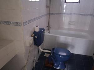 a bathroom with a blue toilet and a bath tub at Homestay Marina Court Kota Kinabalu Sabah in Kota Kinabalu