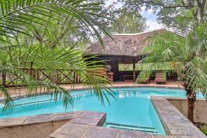 a swimming pool in front of a house at Luxury Kruger Escape in Marloth Park