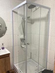 y baño con ducha y puerta de cristal. en Cabaña estero Huite en Quemchi