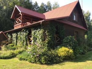 Ogród w obiekcie Leśniczówka domek sauna jeziorko w lesie na wyłączność
