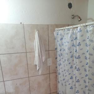 baño con ducha con cortina azul y blanca en Cabaña acogedora en el centro de Epuyen en Epuyén