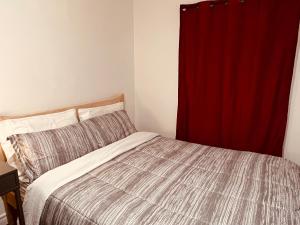多倫多的住宿－ComfyRoom，一间卧室配有床和红色窗帘