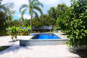 een zwembad met een palmboom in een tuin bij Laluna Narmada in Narmada