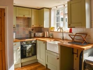 a kitchen with green cabinets and a sink at Ivy Cottage in Metfield