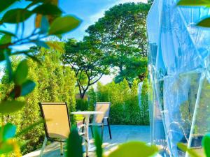 Zahrada ubytování PaPa Q suite Resort + 8 fotografií