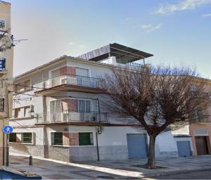 a white building with a tree in front of it at Apartamento 3 dormitorios con aire acondicionado in Granada
