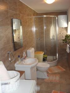 Apartment in Zaton (Zadar) with Air conditioning, WIFI, Washing machine (4828-1) في زاتون: حمام مع دش ومرحاض ومغسلة