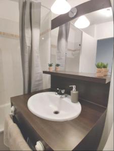 a bathroom with a white sink and a mirror at Studio Proche Disneyland Paris in Montévrain