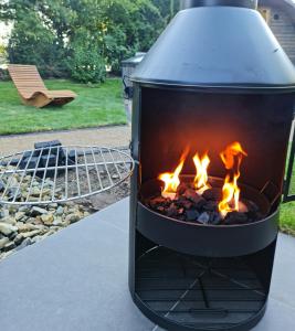 a fire pit with a grill in a yard at Ferienhaus Frieda Kiebitzsee in Falkenberg