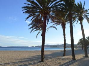 un groupe de palmiers sur une plage de sable dans l'établissement Maison Le Lavandou, 2 pièces, 6 personnes - FR-1-251-156, au Lavandou