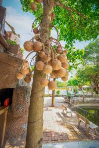 Fotografie z fotogalerie ubytování Caroline Resort v destinaci Vũng Tàu
