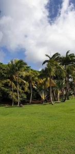 Giardino di Studio Tropical avec vue mer dans une résidence hôtelière