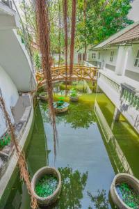 Zahrada ubytování Caroline Resort