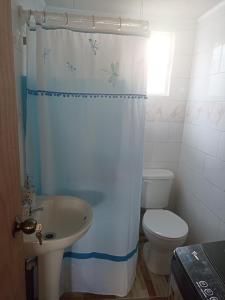 a bathroom with a toilet and a sink and a shower curtain at Departamentos semiamoblado Puerto Montt in Puerto Montt