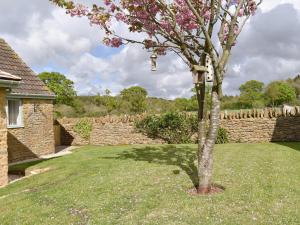 a tree in a yard next to a stone wall at Cherry Cottage - Ukc3990 in South Perrott