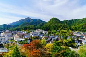 a city with mountains in the background at Hotel Hoho "A hotel overlooking the Echigo Plain and the Yahiko mountain range" formerly Hotel Oohashi Yakata-no-Yu in Niigata