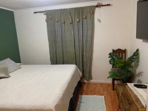 - une chambre avec un lit et un rideau vert dans l'établissement Casa acogedora y cerca de la playa, à Dichato
