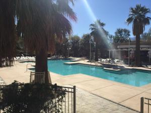 une piscine avec un palmier et une fontaine dans l'établissement Agua Caliente Casino Rancho Mirage, à Rancho Mirage