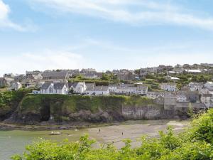 a town on a hill with a beach and houses at Wild Rose in Delabole