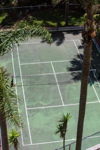 an overhead view of a tennis court with palm trees at Ocean Breeze at Palm Beach in Gold Coast