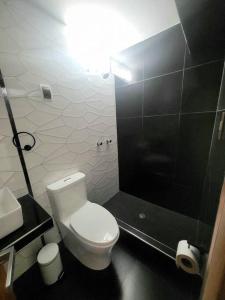 a bathroom with a white toilet and a shower at Aurora Guest House - Luxury Apartment in Huaraz