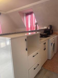 Η κουζίνα ή μικρή κουζίνα στο Hotel Chaika