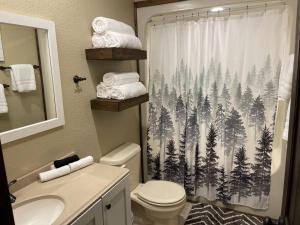 a bathroom with a toilet and a shower curtain at Bent Tree Cabin, on Private 12.5 Acres + Hot Tub in Broken Bow +40 photos