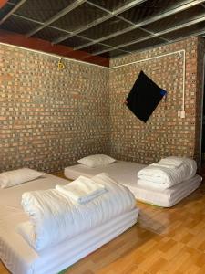 - 2 lits dans une chambre avec un mur en briques dans l'établissement Milk Milk Homestay, à Yên Minh