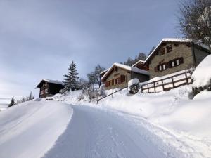 Tiny House facing the Alps - Ski in, Ski out semasa musim sejuk