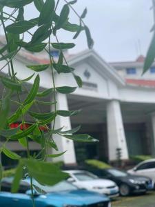 un árbol con hojas verdes delante de una casa en Xiamen Xiang An Yi Hao Hotel, en Xiamen