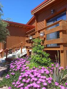 un jardin avec des fleurs roses en face d'une maison dans l'établissement The lodge, à Mesongi