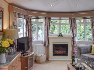 a living room with a fireplace and a tv at Tranquillity Lodge in Annbank