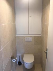 a bathroom with a toilet with a cabinet above it at Villa Louise-Rose in Villeneuve-Loubet