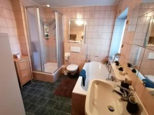La salle de bains est pourvue d'un lavabo, d'une douche et de toilettes. dans l'établissement Ferienwohnung Ellinger, à Regen
