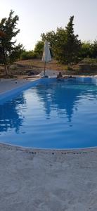 - une piscine bleue avec un parasol et une table dans l'établissement The lodge, à Mesongi