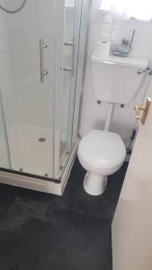 a bathroom with a toilet and a glass shower at Ecky-Thump pet friendly holiday chalet in Bridlington