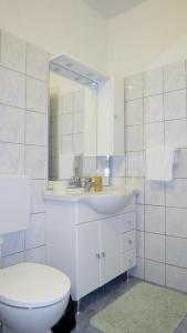 a bathroom with a toilet and a sink and a mirror at Seaside apartments Brist in Tkon