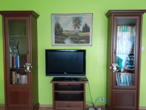 a television on a stand in a room with a green wall at Przy Parku in Jarosław