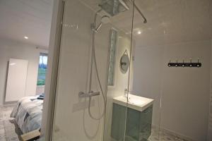 a bathroom with a shower with a sink and a shower at Gite des rousses in Saint-Laurent-les-Églises