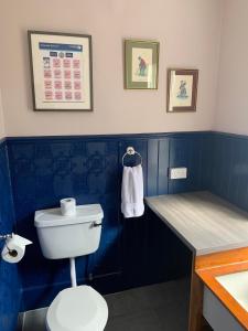 a blue bathroom with a toilet and a sink at Squirrel Away At Leven House in Crieff