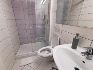 a bathroom with a toilet and a sink and a shower at Rooms Sincere 1830 in Ljubljana