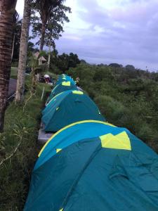 Banjarangkan的住宿－Balicamper，停在田野里的一排蓝色帐篷