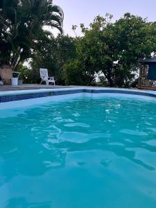 Bazén v ubytování Jamaica Colors Hotel and Eco-Retreat nebo v jeho okolí + 37 fotografií