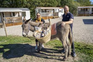 two men are standing next to a donkey at Camping de la ferme aux ânesses, Mobil Home Câline in Bressuire