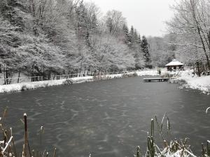 Obiekt Leśniczówka domek sauna jeziorko w lesie na wyłączność zimą